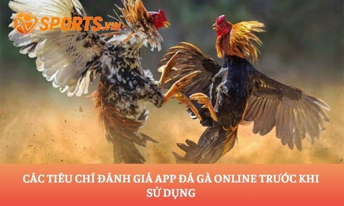 app đá gà online
