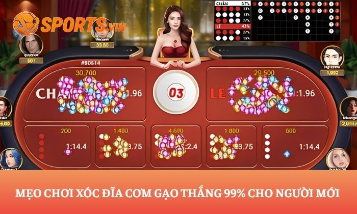 xóc đĩa cơm gạo